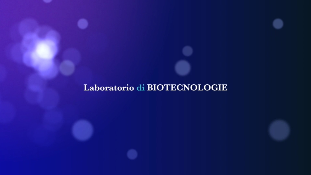 ITG Lab BioTecnologie e Chimica